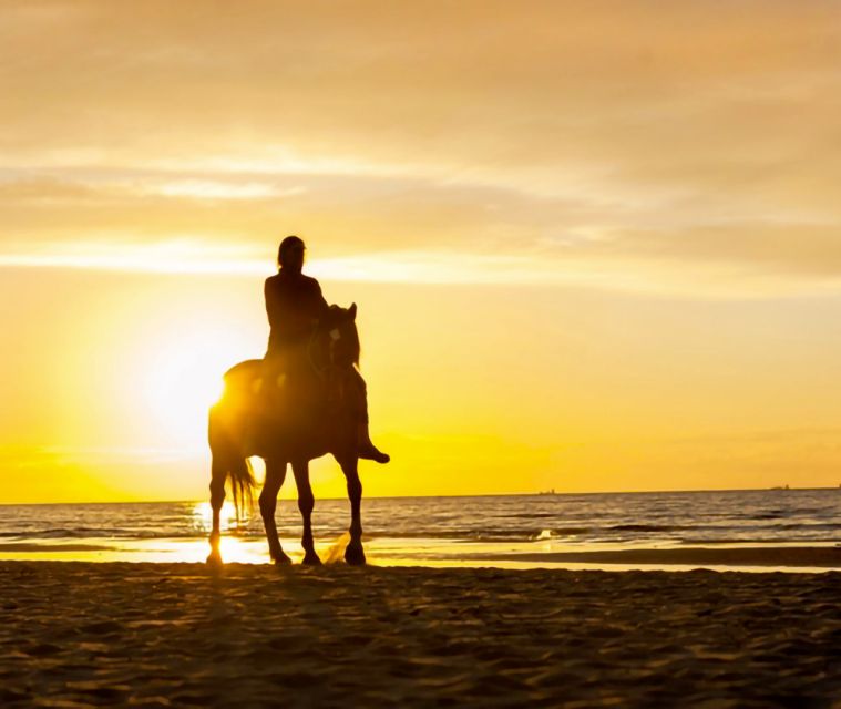 Cartagena: Horseback Riding on the Beach at Sunset - The Eco-Tourism Story: Mangroves, Wildlife, and Local Culture