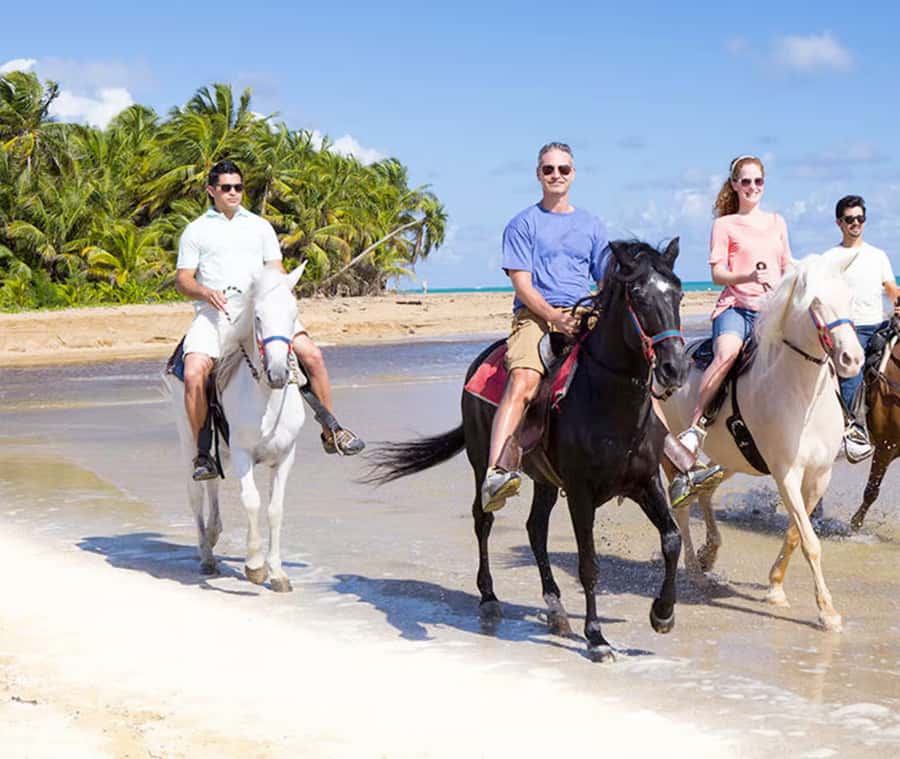Cartagena: Horseback Riding on the Beach at Sunset - The $50 Price, and Why It Can Actually Be Good Value