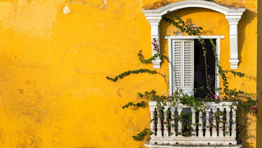 Cartagena Instagram Mobile Workshop: Scenic and Trendy Shots - Who should book this Cartagena workshop