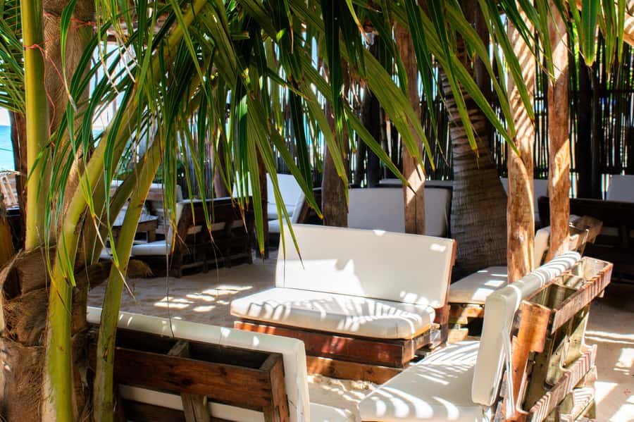 Cartagena: Isla Baru Beach Club at Playa Blanca - Who this tour suits best (and who should skip it)