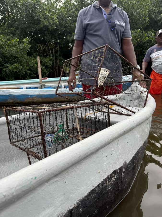 Cartagena: Mangrove Eco Tour & Fishing with Transportation - Price and value: is $55 worth it for a 2-hour tour?