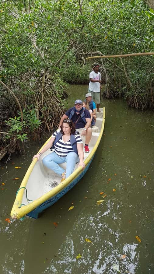 Cartagena: Private Sail in the mangrove GUIDE in ENGLISH - Should you book this private mangrove sail?
