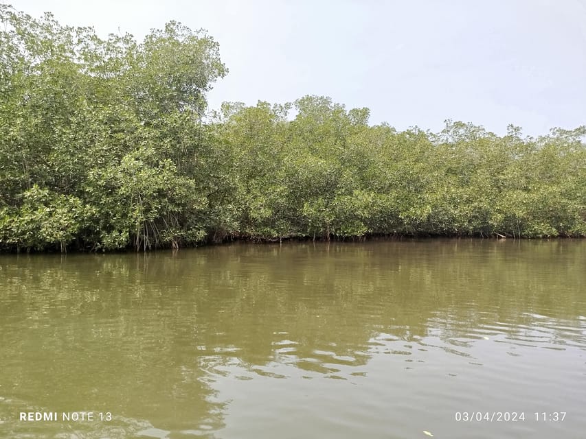 Cartagena: Private Sail in the mangrove GUIDE in ENGLISH - What to do on your own before and after