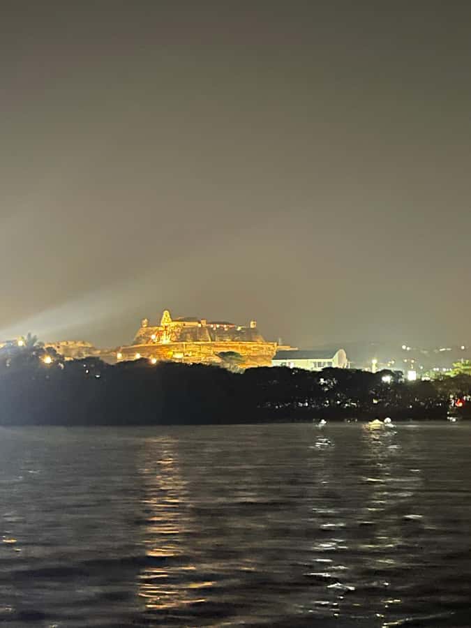 Cartagena: Private Sunset and Night Boat Tour - The working port vibe: cruise ships and big vessels