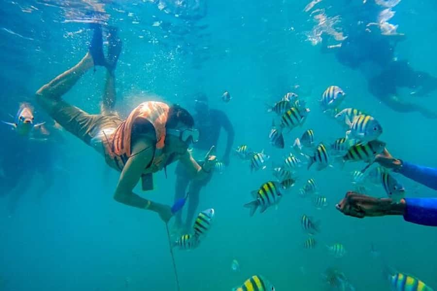 Cartagena: Raccoon Island Snorkel, Mangrove, Photos & Lunch - Cartagena to Barú in One Go: The Shape of the Day