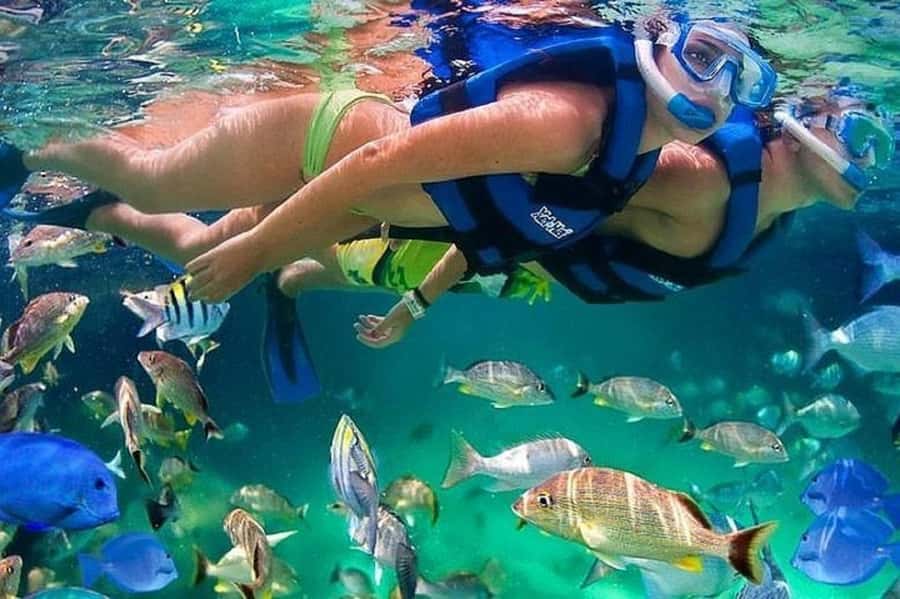 Cartagena: Raccoon Island Snorkel, Mangrove, Photos & Lunch - Barú Island Break Time: Photos, a Walk, and Real Island Time