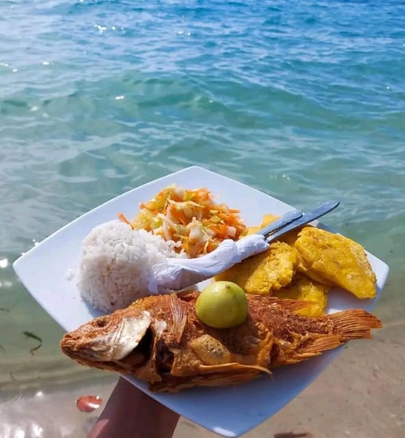 Cartagena: Raccoon Island Snorkel, Mangrove, Photos & Lunch - Speedboats and the Mangrove Experience: Where the Wildlife Lives