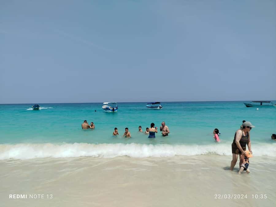 Cartagena: Raccoon Island Snorkel, Mangrove, Photos & Lunch - Playa Blanca on Barú: Lunch and Beach Time That Actually Counts