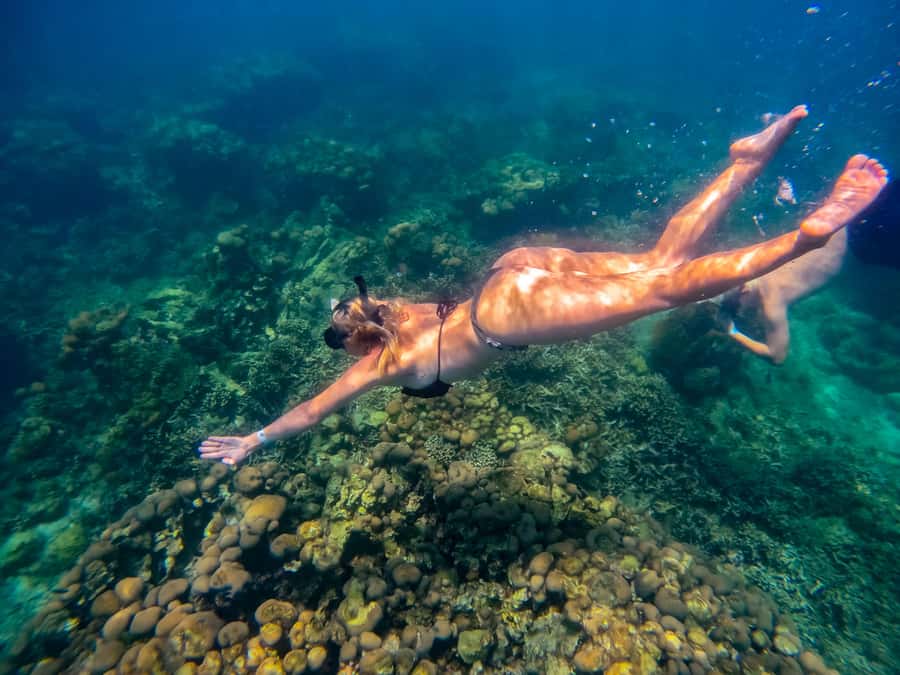 Cartagena: Rosario Islands Day Tour with Snorkel & Lunch - Isla Grande and Encantada Beach Club: white sand and reef time