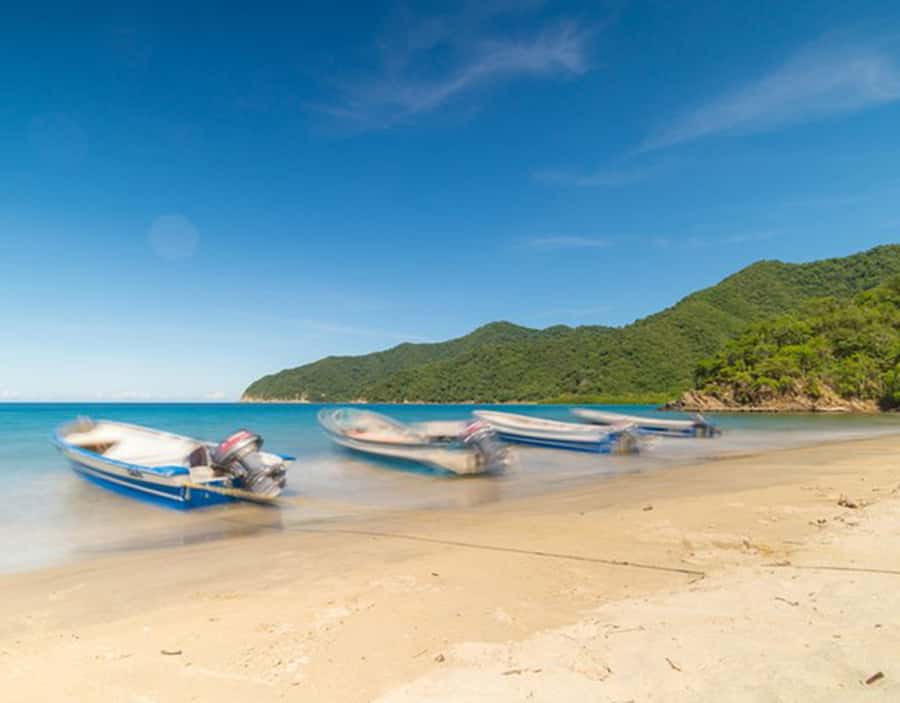 Cartagena: Rosario Islands Private Boat Tour - Should you book this private boat tour of Rosario Islands?
