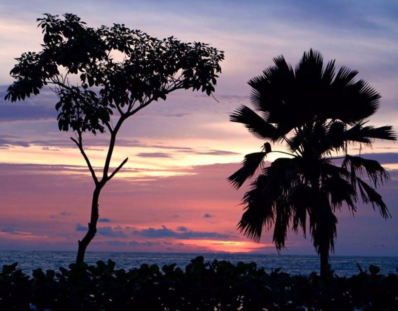 Cartagena: Rosario Islands Private Boat Tour - Who this tour suits best (and who should think twice)