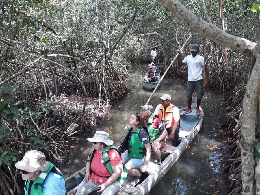 Cartagena: Sail in the mangroves of Cartagena - Key Things You’ll Remember From This Mangrove Sail