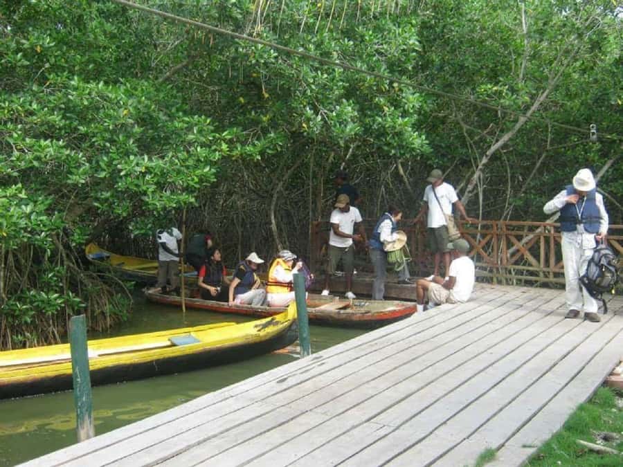 Cartagena: Sail in the mangroves of Cartagena - Price and Value: Is $23 a Good Deal?