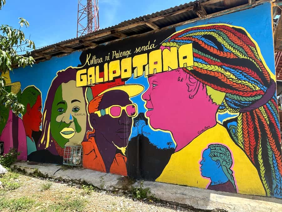 Cartagena:San Basilio de Palenque private DayTrip with Lunch - Key things to know before you go