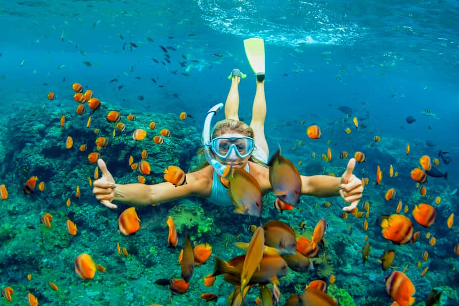 Cartagena: Snorkel, Mangroves and Playa Blanca Tour - Key things you’ll notice fast