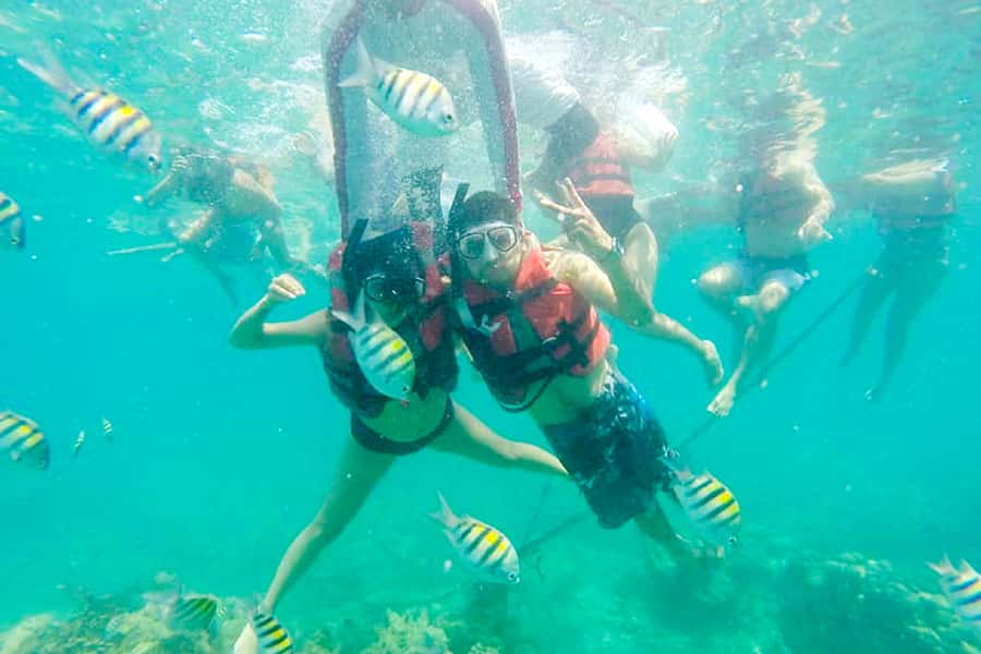 Cartagena: Snorkel, Mangroves and Playa Blanca Tour - A Full Day Loop: Cartagena to Barú, Mangroves, Playa Blanca, and Back