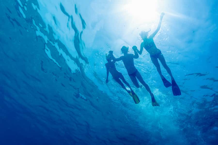 Cartagena: Snorkel, Mangroves and Playa Blanca Tour - Barú Snorkeling: Gear, Water Conditions, and How to Make the Most of One Hour