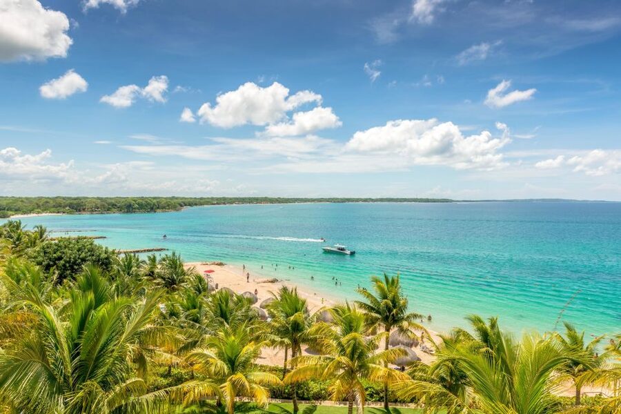 Cartagena: Snorkel, Mangroves and Playa Blanca Tour - Playa Blanca Lunch: Fish, Chicken, Vegetarian, and Time to Swim