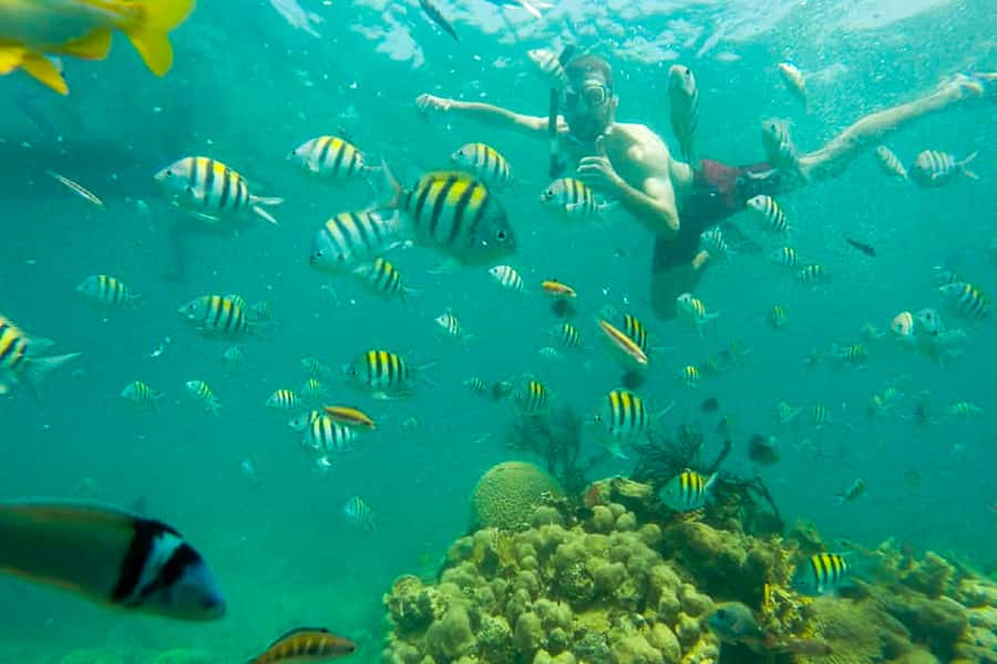Cartagena: Snorkel, Mangroves and Playa Blanca Tour - Boats, Crowds, and Comfort: Realistic Expectations for the Sea Day
