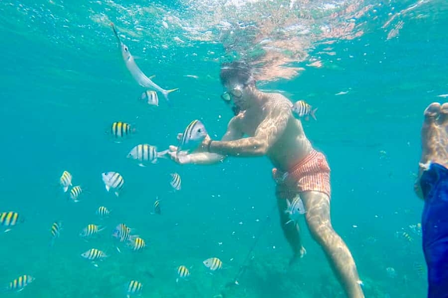 Cartagena: Snorkel, Mangroves and Playa Blanca Tour - Price and Value: Why This One Can Be Worth It