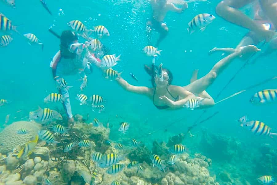 Cartagena: Snorkel, Mangroves and Playa Blanca Tour - Pickup and Meeting Point: What’s Included and What Might Take a Few Steps