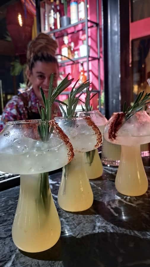Cartagena Tasting Mezcal & Tequila - Origins first: learning what tequila and mezcal mean before you taste