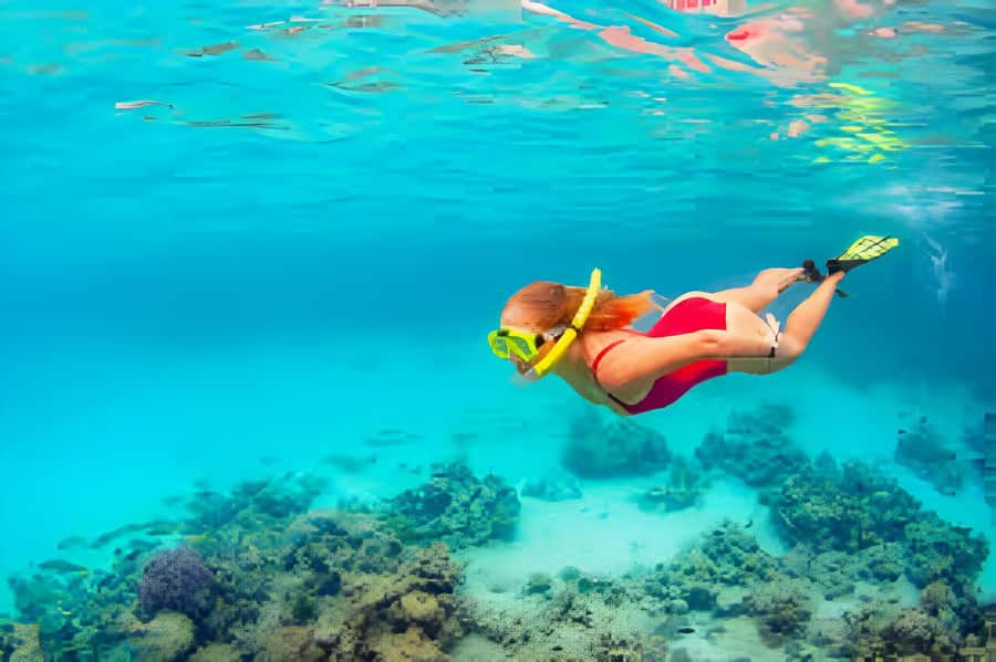 Cartagena: Tour to Playa Tranquila with Snorkeling + Luminous Plankton and Parasol - Key points I’d file away before you go