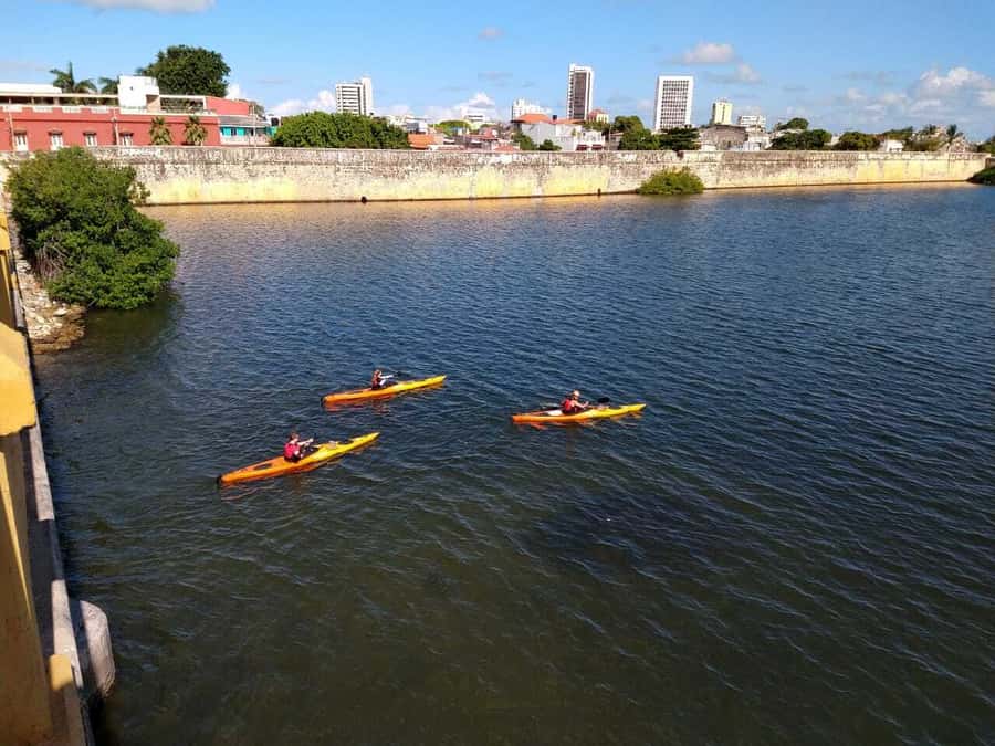 Cartagena: Walled City Kayak Tour - Who Should Book This Kayak Tour (and Who Might Want to Rethink It)