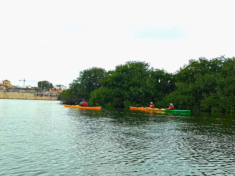 Cartagena: Walled City Kayak Tour - Ending at Bird’s Island: Birds, Sound, and a Nature Break