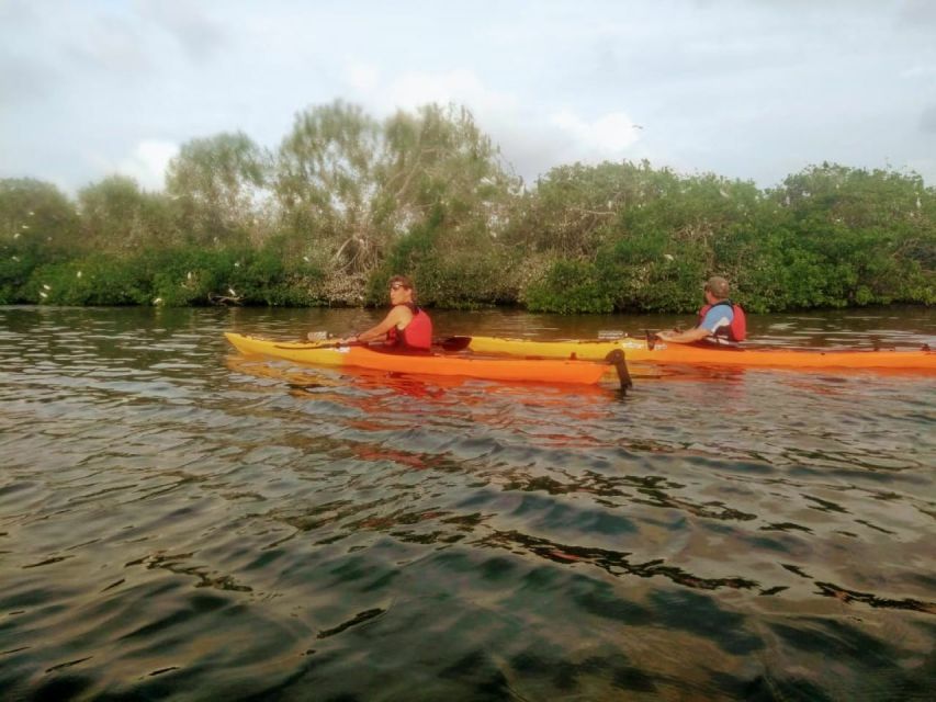 Cartagena: Walled City Kayak Tour - Price and Value at $73 Per Person