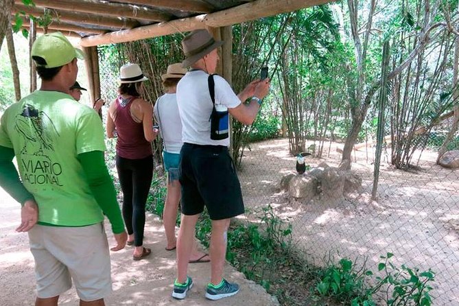 Eco Plan National Aviary and Lunch in Playa Mambo Beach Barú - Should You Book Eco Plan National Aviary and Lunch in Playa Mambo Beach Barú?