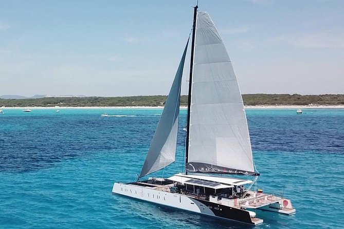 Excursion to the Rosario Islands with Lunch and Snorkeling - Getting There: Muelle de la Bodeguita Meeting Point