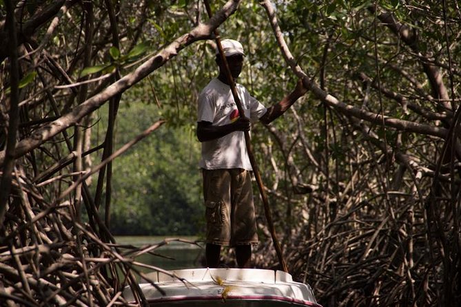 Explore La Boquilla’s Mangrove Tunnels with Local Fishermen - Key highlights worth caring about
