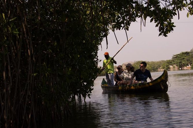 Explore La Boquilla’s Mangrove Tunnels with Local Fishermen - The canoe focus: what makes the mangrove tunnels special