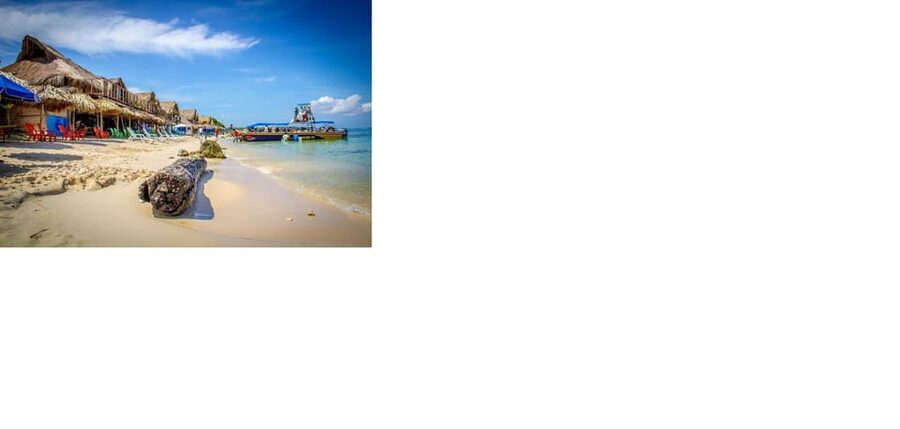FULL DAY BARRANQUILLA AND SANTA MARTA 1 DAY from Cartagena - Shopping Tour: How To Use It Without Losing Your Focus