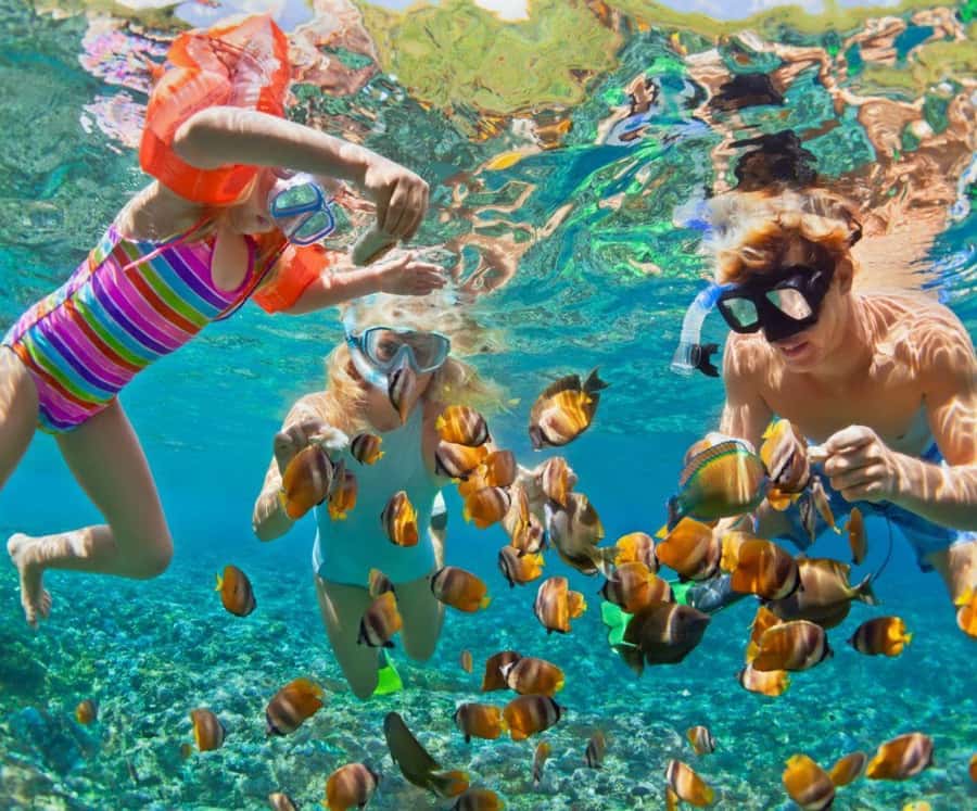 Full Day Barú island: Mangrove +Snorkel + Sunset + Plankton - Getting From Cartagena to Barú Without Losing Your Whole Day