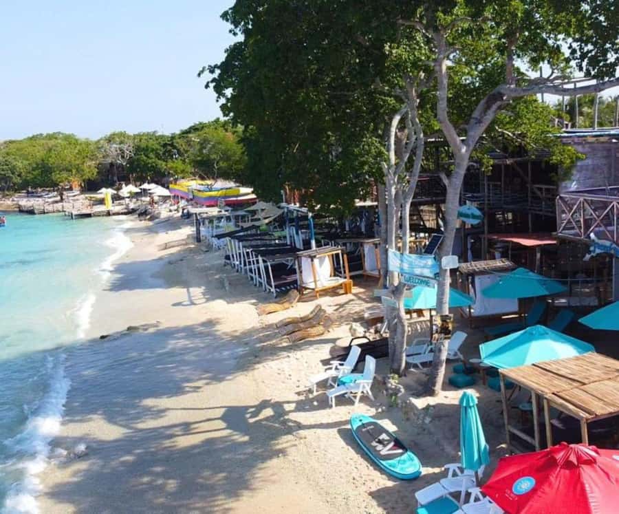 Full Day Barú island: Mangrove +Snorkel + Sunset + Plankton - Snorkeling in Rosario Waters: Colorful Fish, but Check the Reality