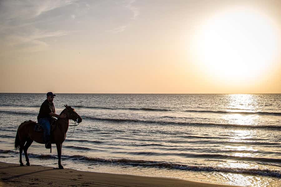 HORSE TOUR IN CARTAGENA BEACH - Key things to know before you go