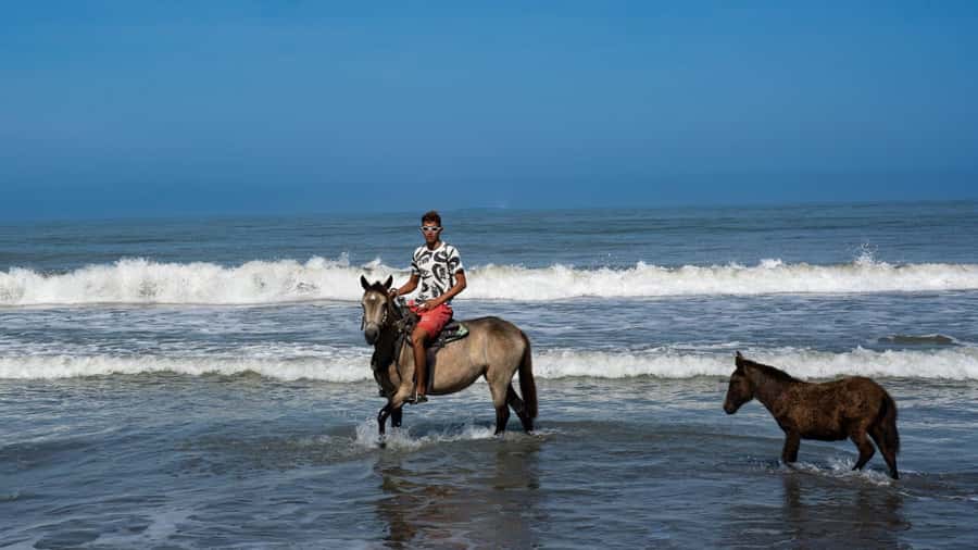 HORSE TOUR IN CARTAGENA BEACH - Flora, fauna, and the quiet that makes the ride feel longer