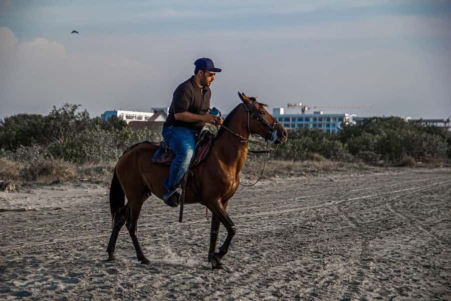 HORSE TOUR IN CARTAGENA BEACH - Price and value at $43: what you’re actually paying for