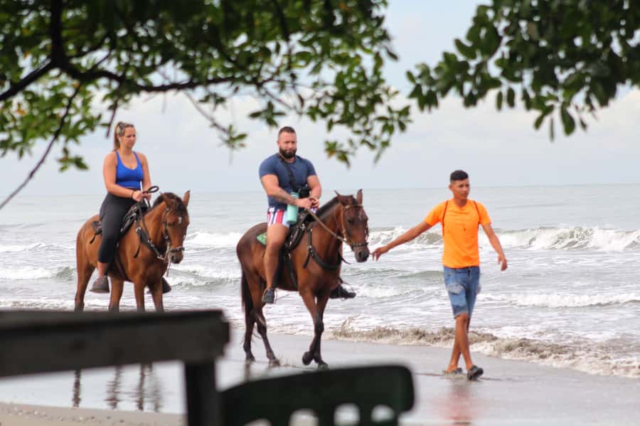 HORSE TOUR IN CARTAGENA BEACH - Who this tour suits best (and where it may not fit)