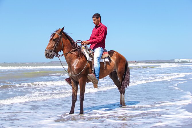 Horseback Riding Tour through the Beaches of Cartagena de Indias - Beach Horseback Riding in Cartagena: Why This One Works