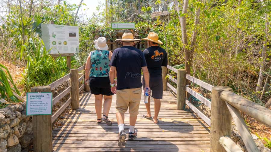 Isla Barú: Beach Club Access and Tour of the National Aviary - Should you book Isla Barú + the National Aviary?