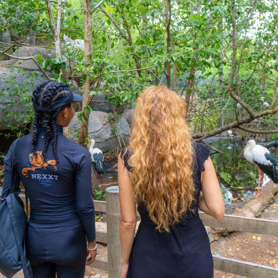 Isla Barú: Beach Club Access and Tour of the National Aviary - Crossing the Canal del Dique: The drive via Barú Bridge