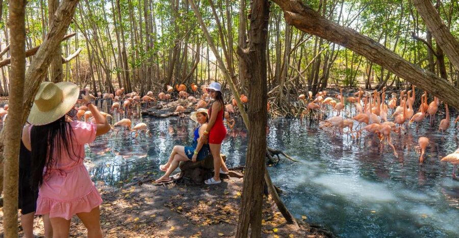 Isla Barú: Beach Club Access and Tour of the National Aviary - Transport comfort tips: how to avoid a rough day