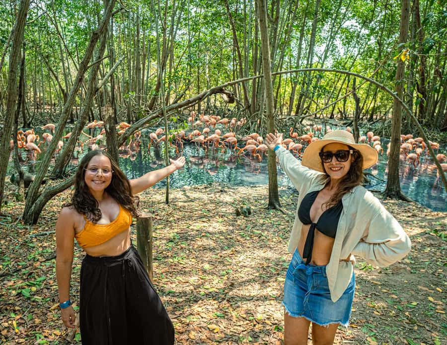 Isla Barú: Beach Club Access and Tour of the National Aviary - Price and Logistics: An 8-hour loop from Cartagena