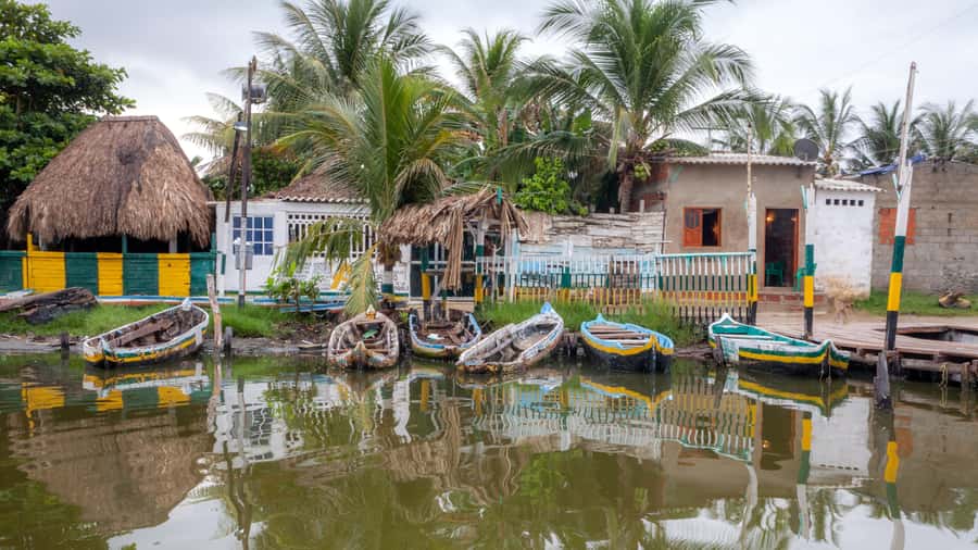 La Boquilla: 3-Hour Canoe Tour through the Mangroves - La Boquilla’s Mangroves: A Different Side of Cartagena