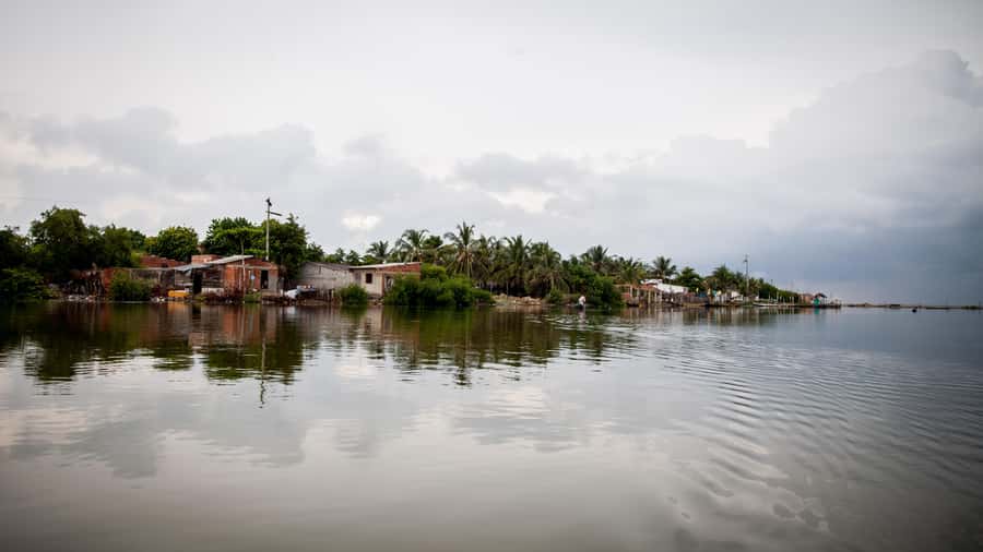 La Boquilla: 3-Hour Canoe Tour through the Mangroves - Refreshing Coconut Water and the Island Stop
