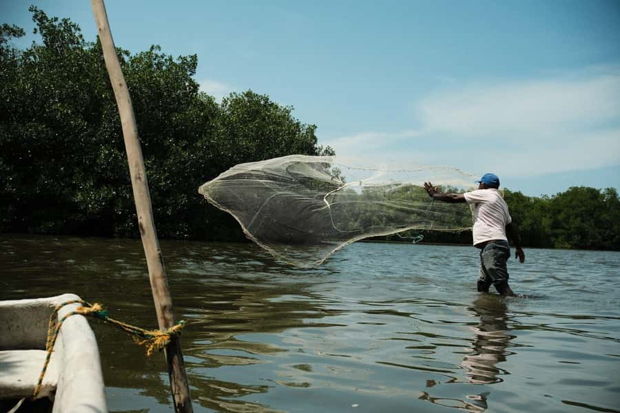 Mangroves, cultural fishing, black heritage town and lunch - The fishing village walk: culture you can feel, not just facts on paper
