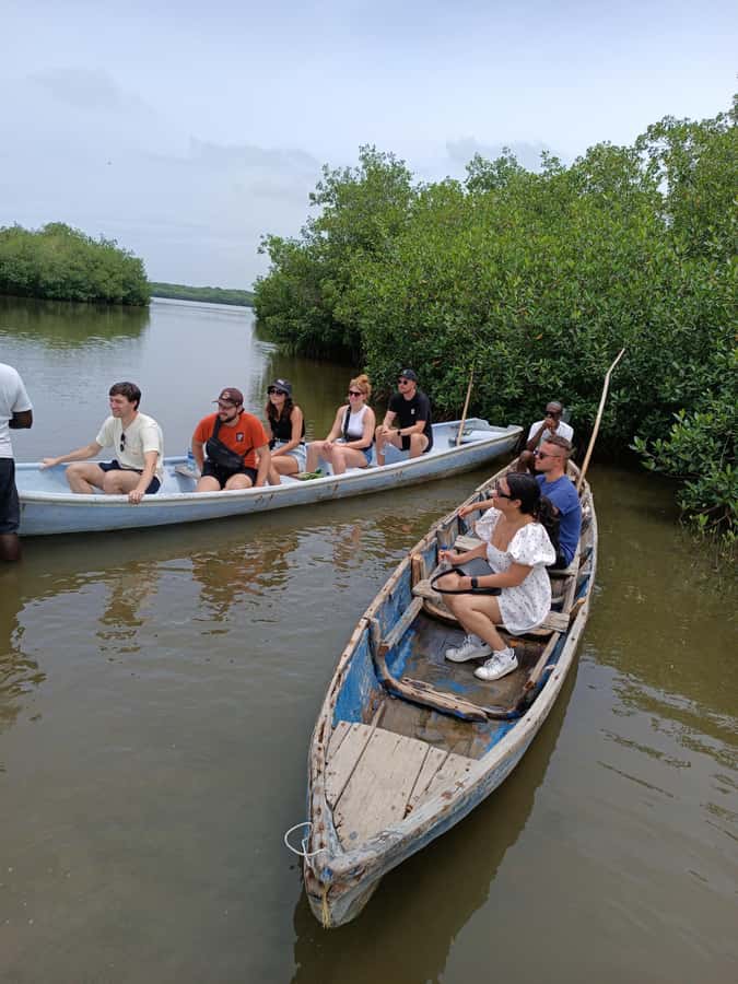 Mangroves, cultural fishing, black heritage town and lunch - Who should book this mangrove-and-lunch tour